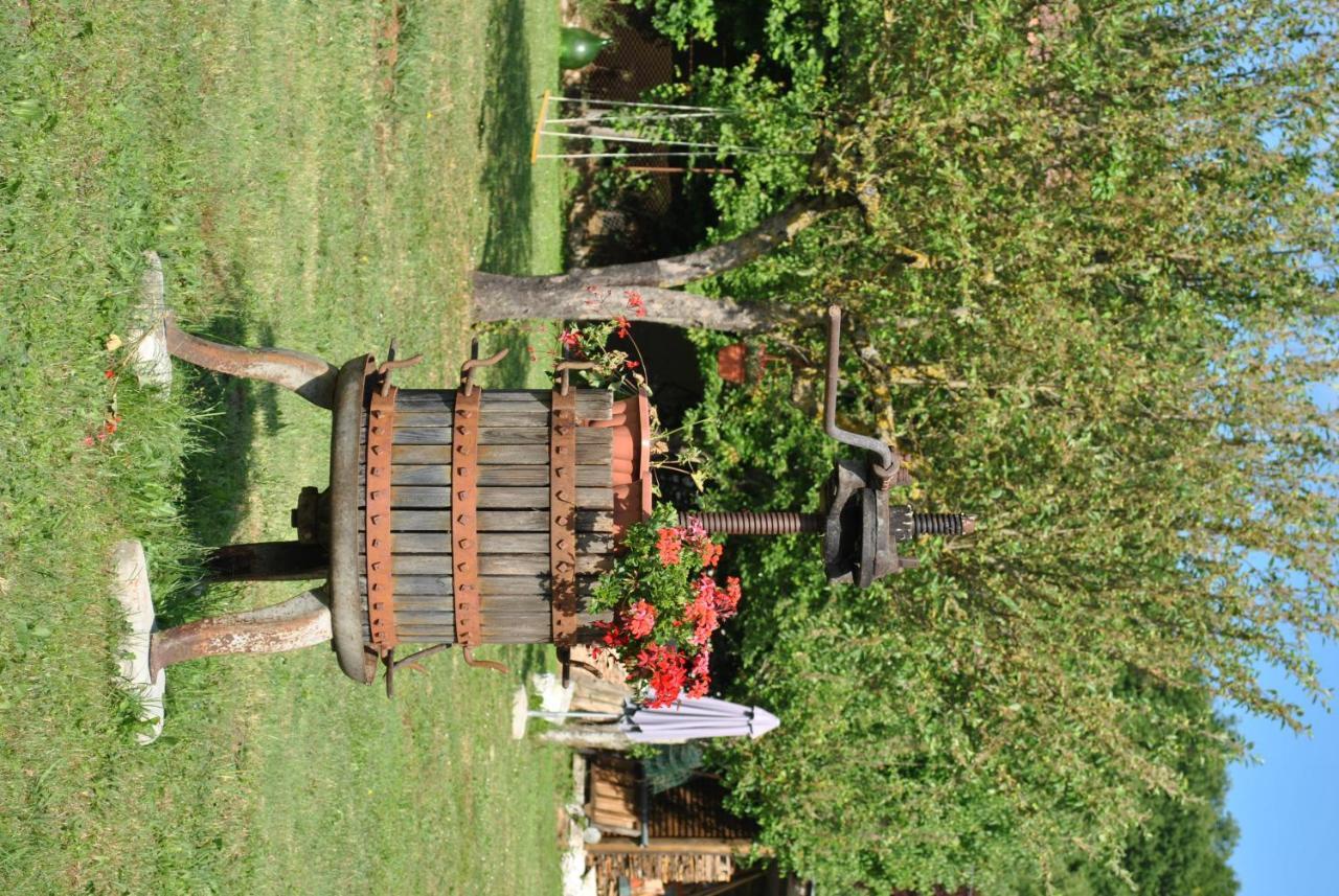 B&B A Casa Di Piero San Massimo  Bagian luar foto
