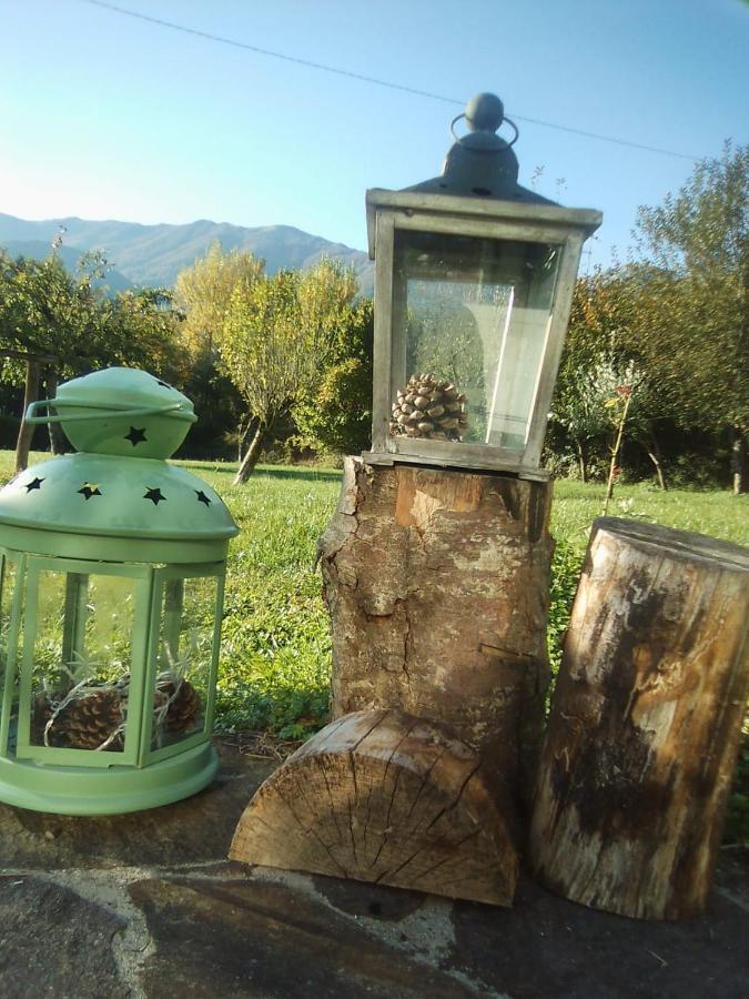 B&B A Casa Di Piero San Massimo  Bagian luar foto